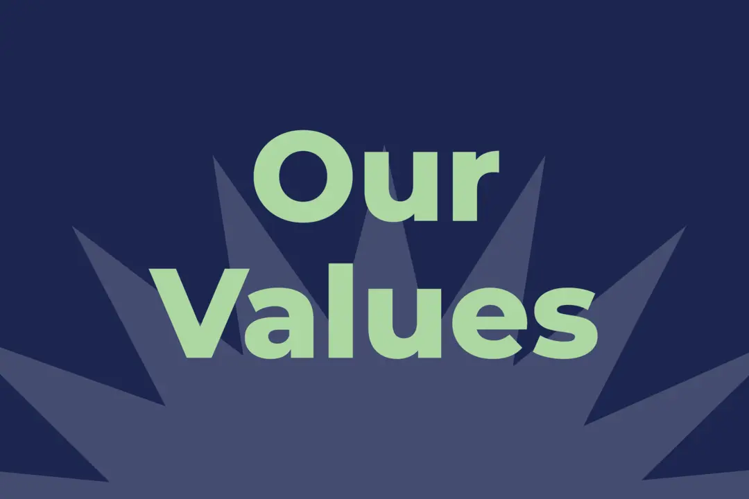 Al noor_website_values vis Web image: Al Noor Website Values Vis