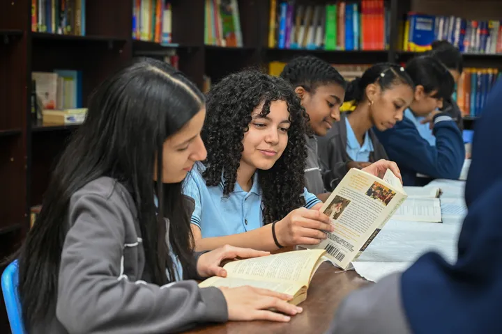 Web image: Libraries 1